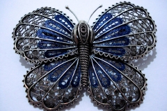 PROJECT: \"BUTTERFLIES OF THE WORLD\" Museo Civico della Filigrana \"Pietro Carlo Bosio\". - Campo Ligure. Liguria- Italy.